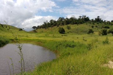TERRENO RURAL DE 31 ALQUEIRES