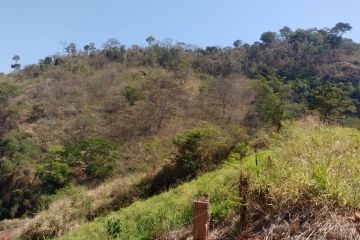 Sitio Batuta, Mutum Claro, 40 Alqueires.