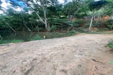 PROPRIEDADE RURAL DE 8 ALQUEIRES